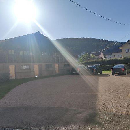 Le Cozy Nest Apartment Gérardmer Exterior photo